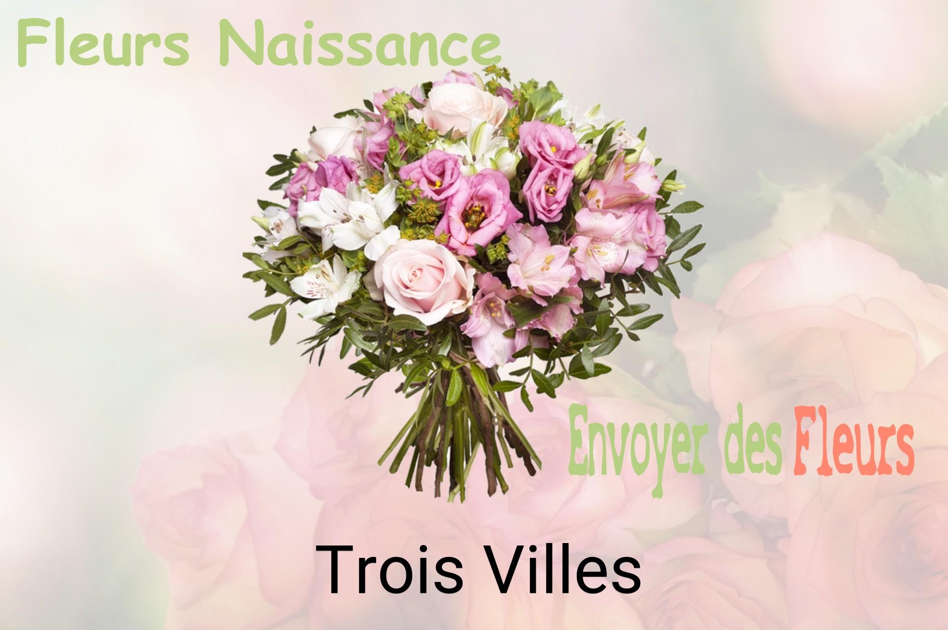 Bouquet de fleurs de naissance livré à Trois-Villes